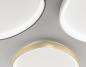 Preview: Quirk 38W LED Deckenleuchte 2.7K+3.2K+4K Ø42cm 4400lm CRI80+ 3step DIM