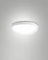 Preview: Quirk 38W LED Deckenleuchte 2.7K+3.2K+4K Ø42cm 4400lm CRI80+ 3step DIM