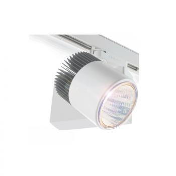 SL30 3Ph. LED Spot weiss 40° 5000K CRI95 inkl. Lichtmodul