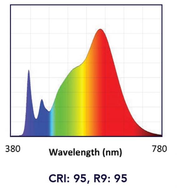 11 W SORAA VIVID LED E27 CRI95 3.000K 900Lm Vollspektrum Warmweiß